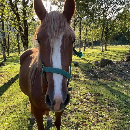 A Chousa Da Folgueira Ordes