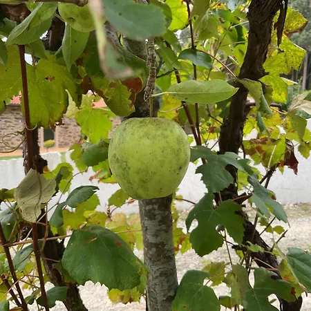 A Chousa Da Folgueira بيت للعطل *