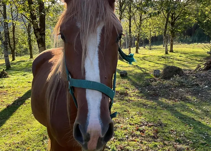 A Chousa Da Folgueira Ordes