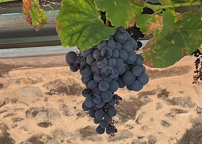 A Chousa Da Folgueira Dom wakacyjny Ordes